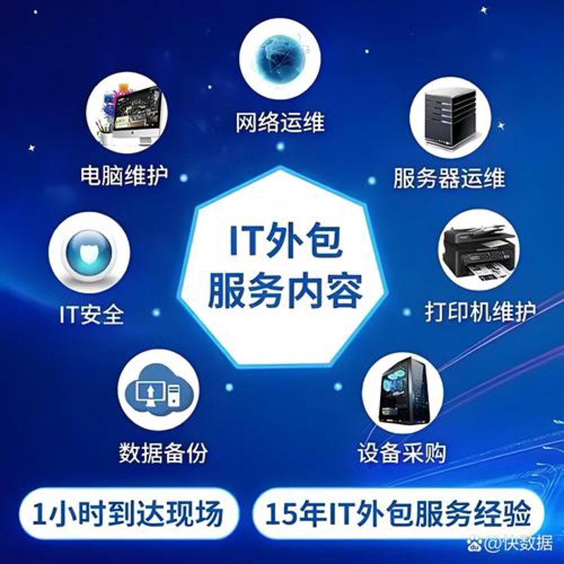 湖南网络科技公司的业务领域与前景展望